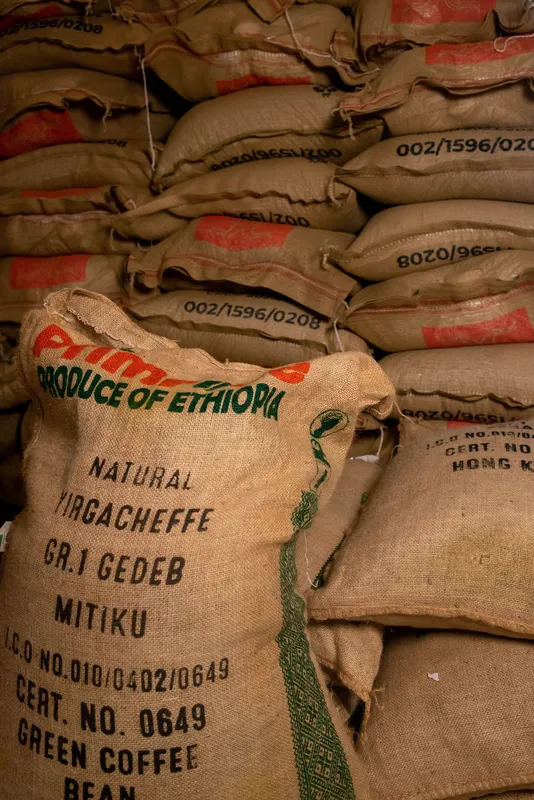Rows of burlap bags filled with Ethiopian Yirgacheffe coffee beans stacked in a warehouse.